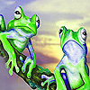 Baffled frogs puzzle