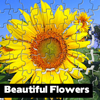Beautiful Flowers Puzzle