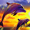 Blue dolphins in island puzzle