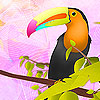 Colorful toucan puzzle