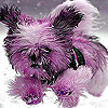 Cute puppy on the snow puzzle