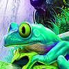 Frog on the waterfall puzzle