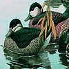 Green ducks in the lake puzzle