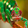Green lizard in the jungle puzzle