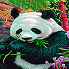 Hungry panda puzzle