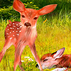 Little deers in the farm puzzle