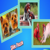 Lovely dog couples puzzle