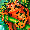 Orange spotted frog puzzle