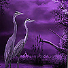 Pelicans on the moonlight puzzle