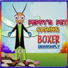 Peppy's Pet Caring - Boxer Dragonfly