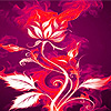Pink flame roses puzzle