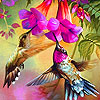 Pink hummingbirds puzzle