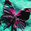 Pink paint butterfly puzzle