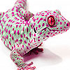 Pink spotted lizard puzzle