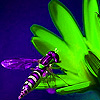 Purple bee in garden puzzle