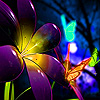 Purple flower garden puzzle