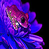 Purple frog on the flower puzzle