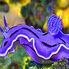 Purple marine reptile puzzle