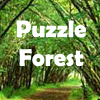 Puzzle Forest Escape