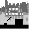 Roof runner