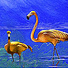 The long legged flamingos puzzle