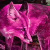 Fantastic pink foxes puzzle